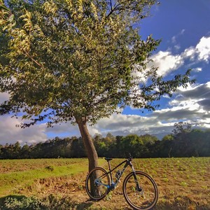 Trifox bike M2