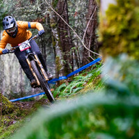 Remi the Semi keeping it low and tight around the trees.