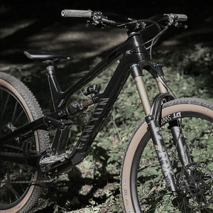 Canyon Torque 29 CF 9